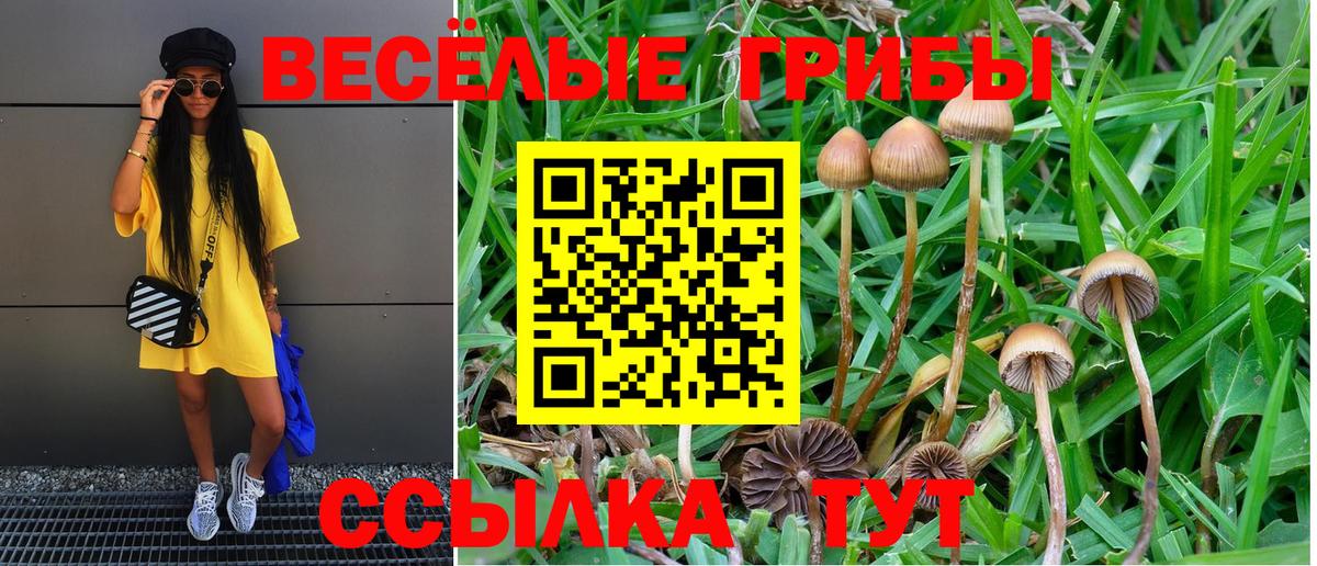 Псилоцибиновые грибы Magic Shrooms Биробиджан