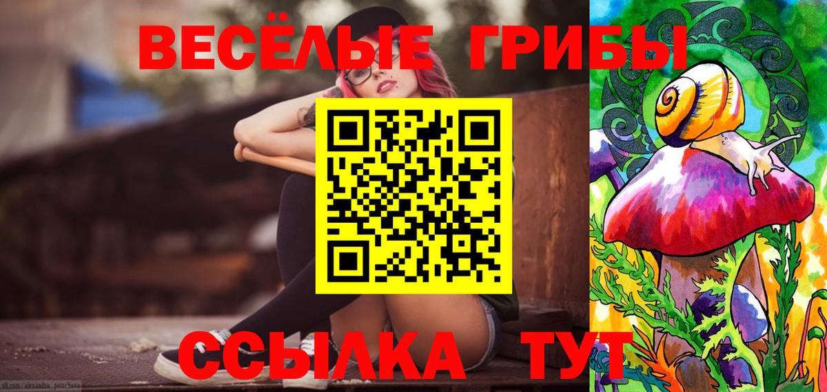 Биробиджан  Псилоцибиновые грибы прущие грибы  Вход с VPN 